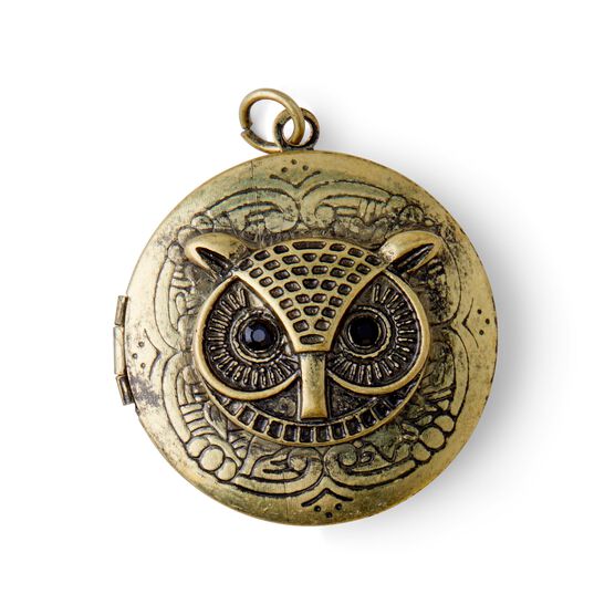 Antique Gold Antiquist Locket With Owl Pendant by hildie & jo, , hi-res, image 2