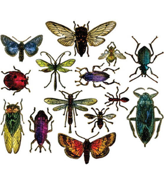Sizzix Framelits Dies By Tim Holtz 14 Pkg Entomology, , hi-res, image 2