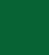 Dark Green All-Purpose Powder Dye