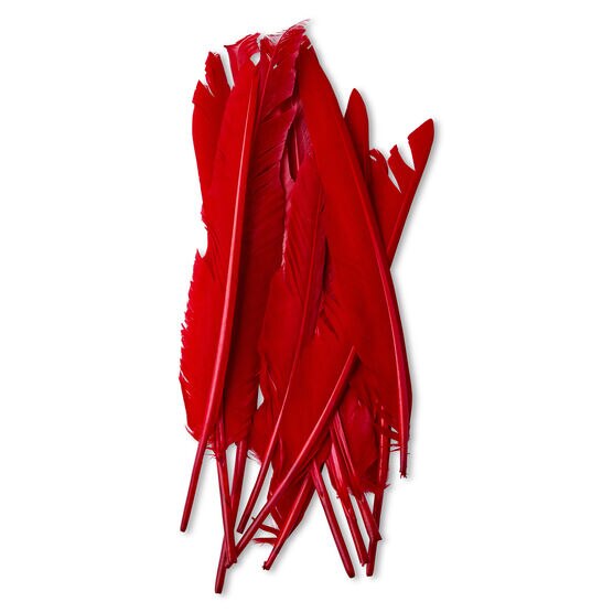 Red Feathers 28cm (Pack of 6), Arts and Crafts