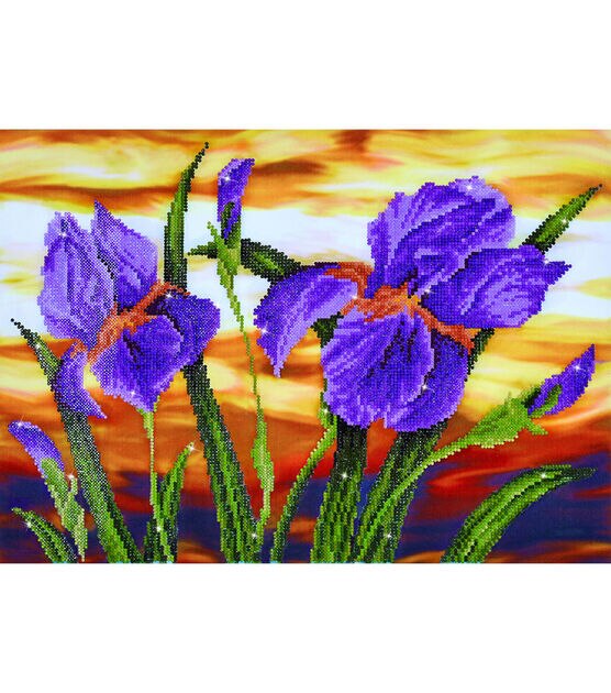 Diamond Dotz Diamond Embroidery Facet Art Kit 23.5''X17.75'' Iris Sunset