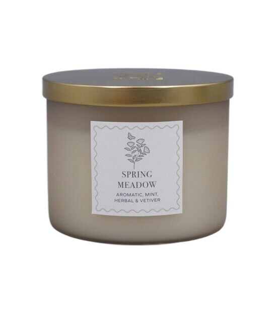 14oz Spring 3 Wick Scented Jar Candle by Place & Time, , hi-res, image 1