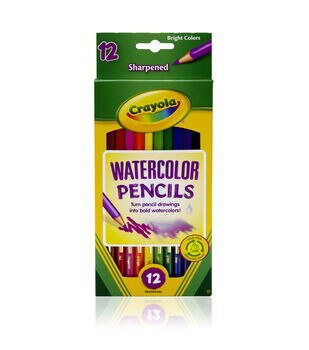 Crayola 8 Project Line Quick Dry Paint Sticks 6ct