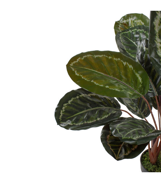 Northlight 30" Artificial Large Green Leaf Calathea Potted Plant, , hi-res, image 3