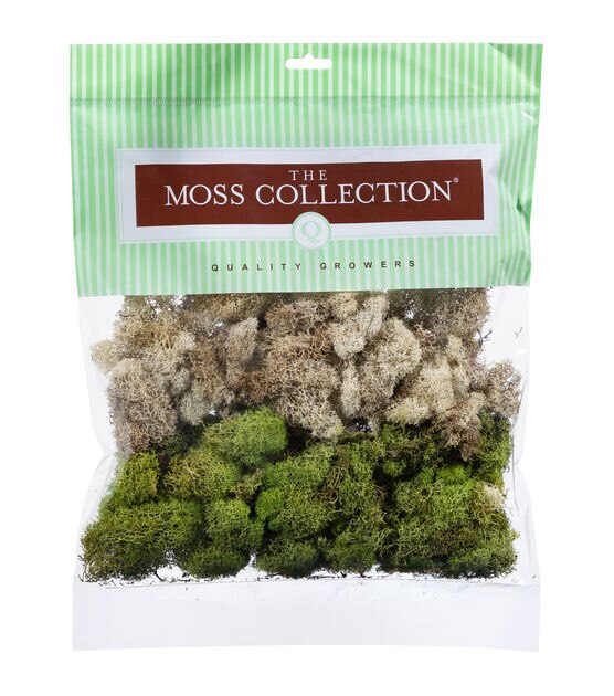 Quality Growers Natural & Spring Green Reindeer Moss, , hi-res, image 2