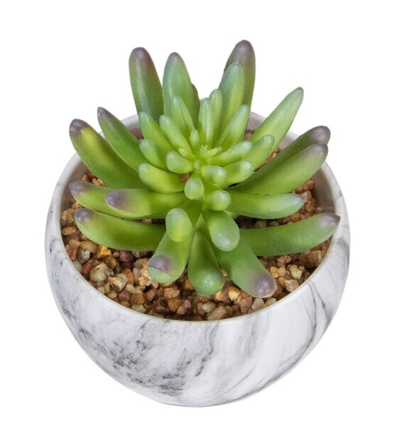 Northlight 4.25" Green Artificial Succulent in Faux Marble Pot, , hi-res, image 5