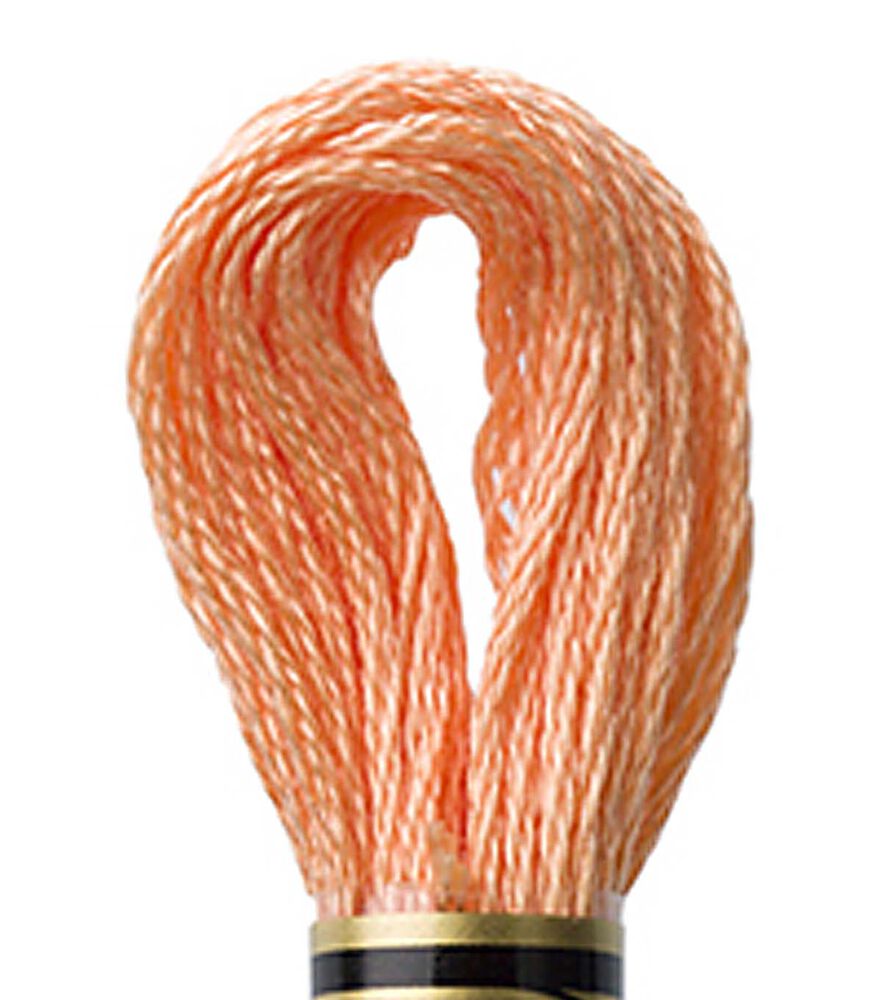 DMC 8.7yd Red & Oranges 6 Strand Cotton Embroidery Floss, 3825 Pale Pumpkin, swatch, image 12