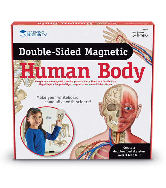 Learning Resources 17pc Double sided Magnetic Human Body Kit, , hi-res, image 2
