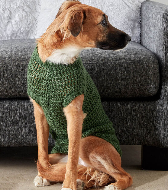 Crochet A Dapper Pup Sweater