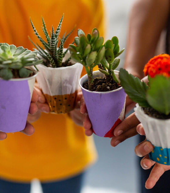 Mini Upcycled Potted Plants