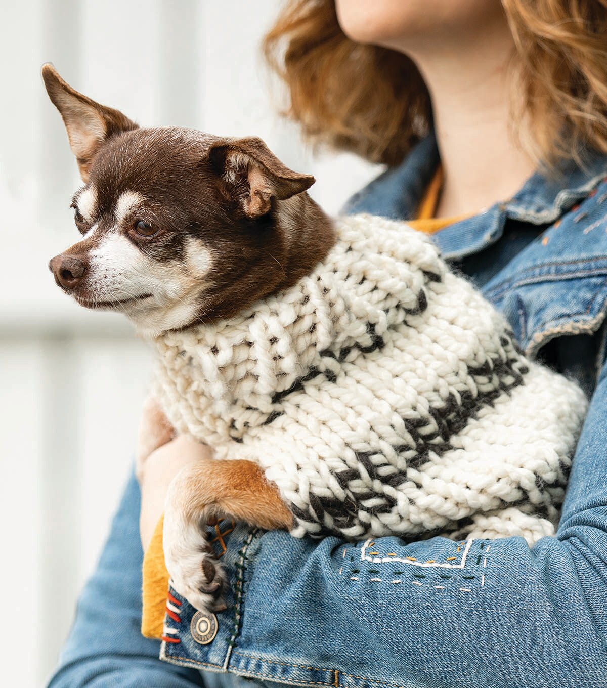 How To Make Chunky Knit Small Dog Sweater Online | JOANN