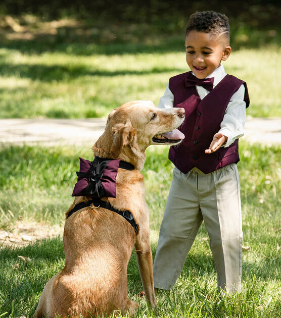 Ringbearer Dog Harness