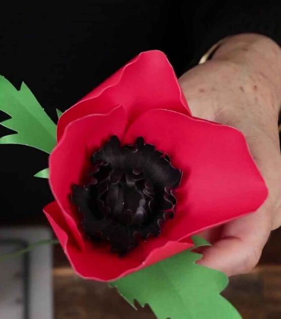 Lia Griffith Paper Poppy Video, image 1