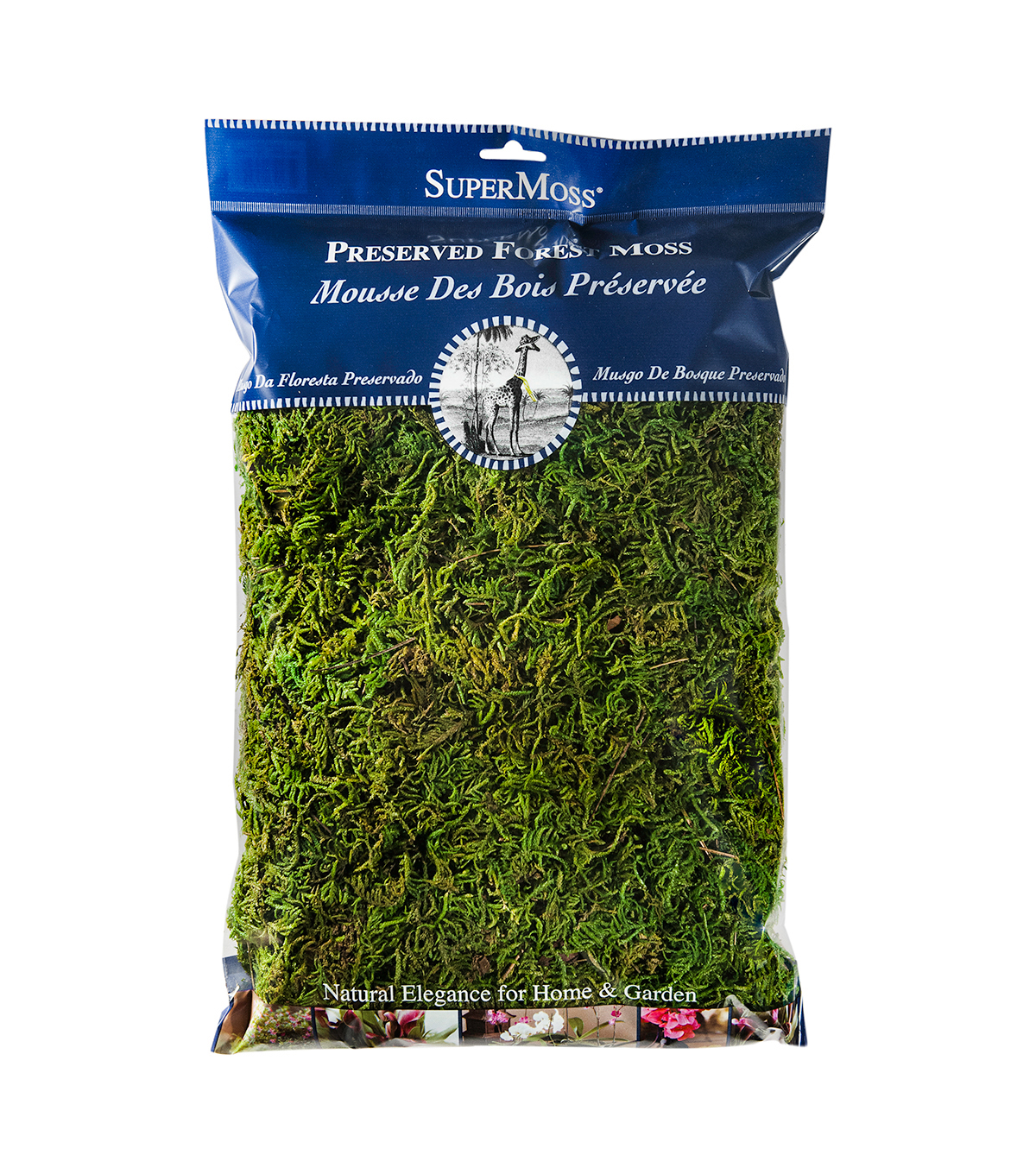 Miniature FAIRY GARDEN Terrarium ~ Decorative Preserved Sheet Moss ~ NEW