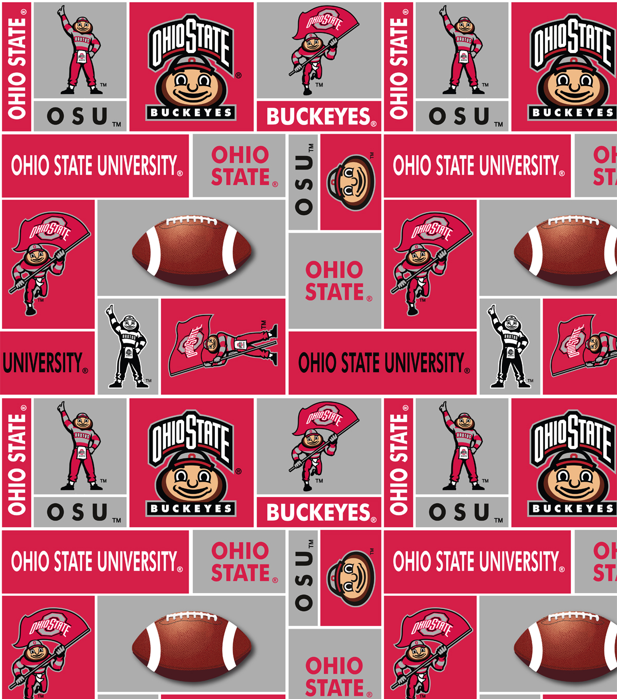 ohio state university buckeyes