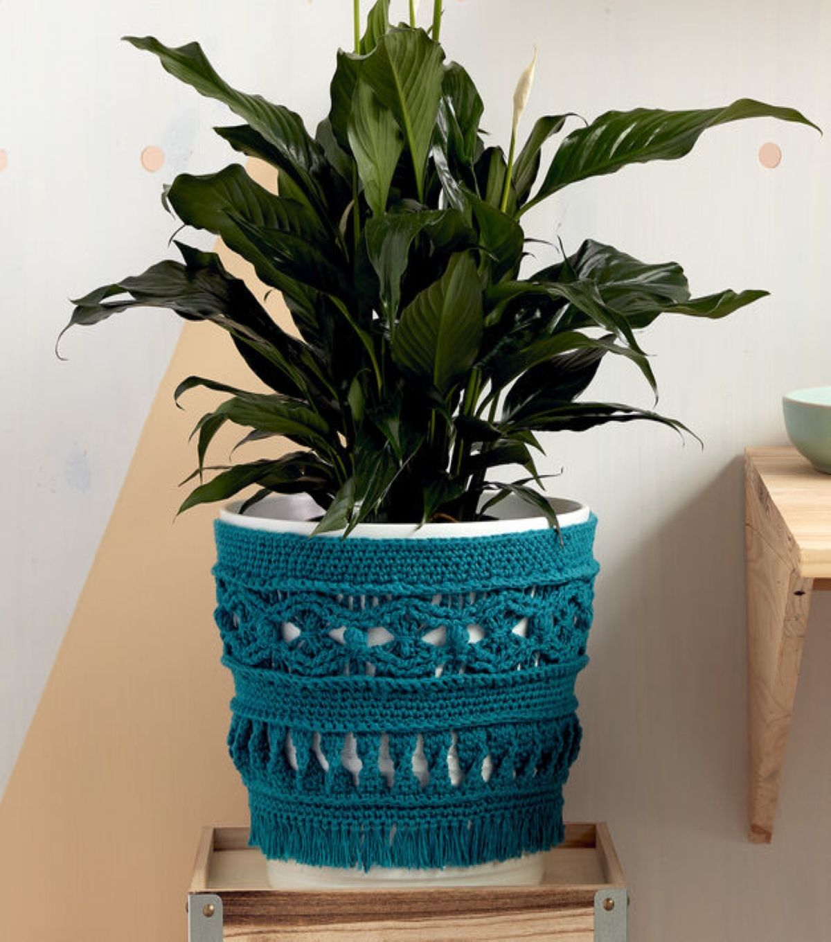 How To Make A Lily Sugar�N Cream Large Potted Plant