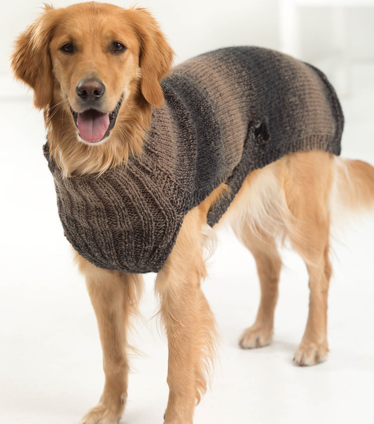 How To Make a Lion Brand Scarfie Hunter's Urban Dog Sweater | JOANN