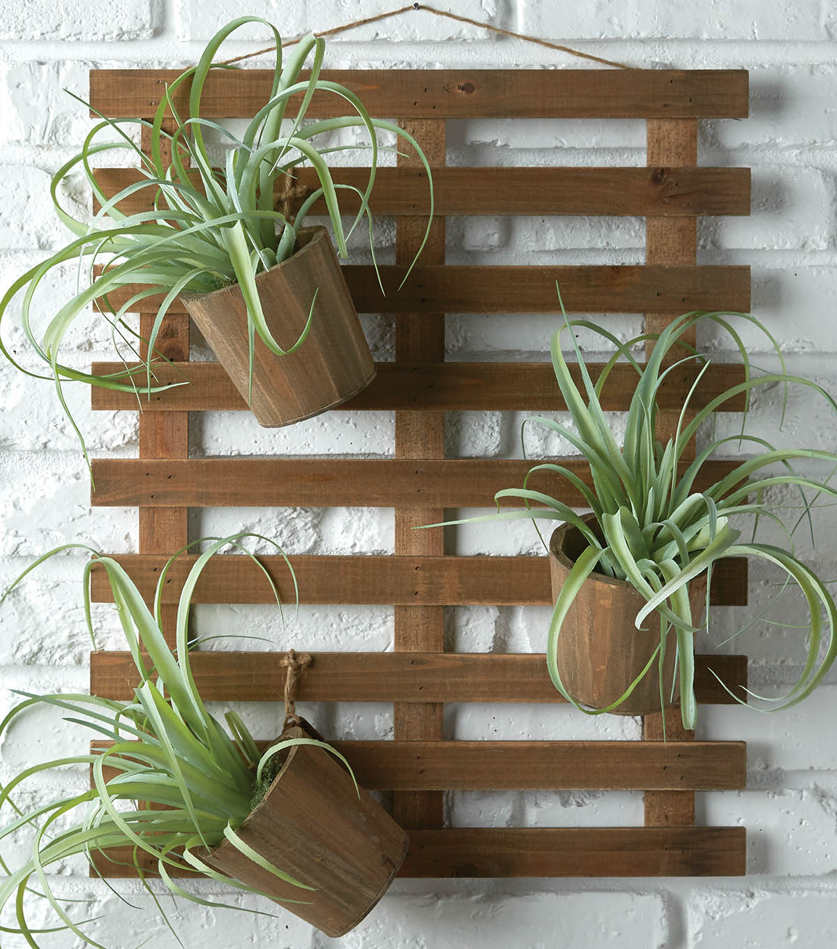 How To Make Hanging Pots With Air Plants Joann How To Make Hanging Pots With Air Plants