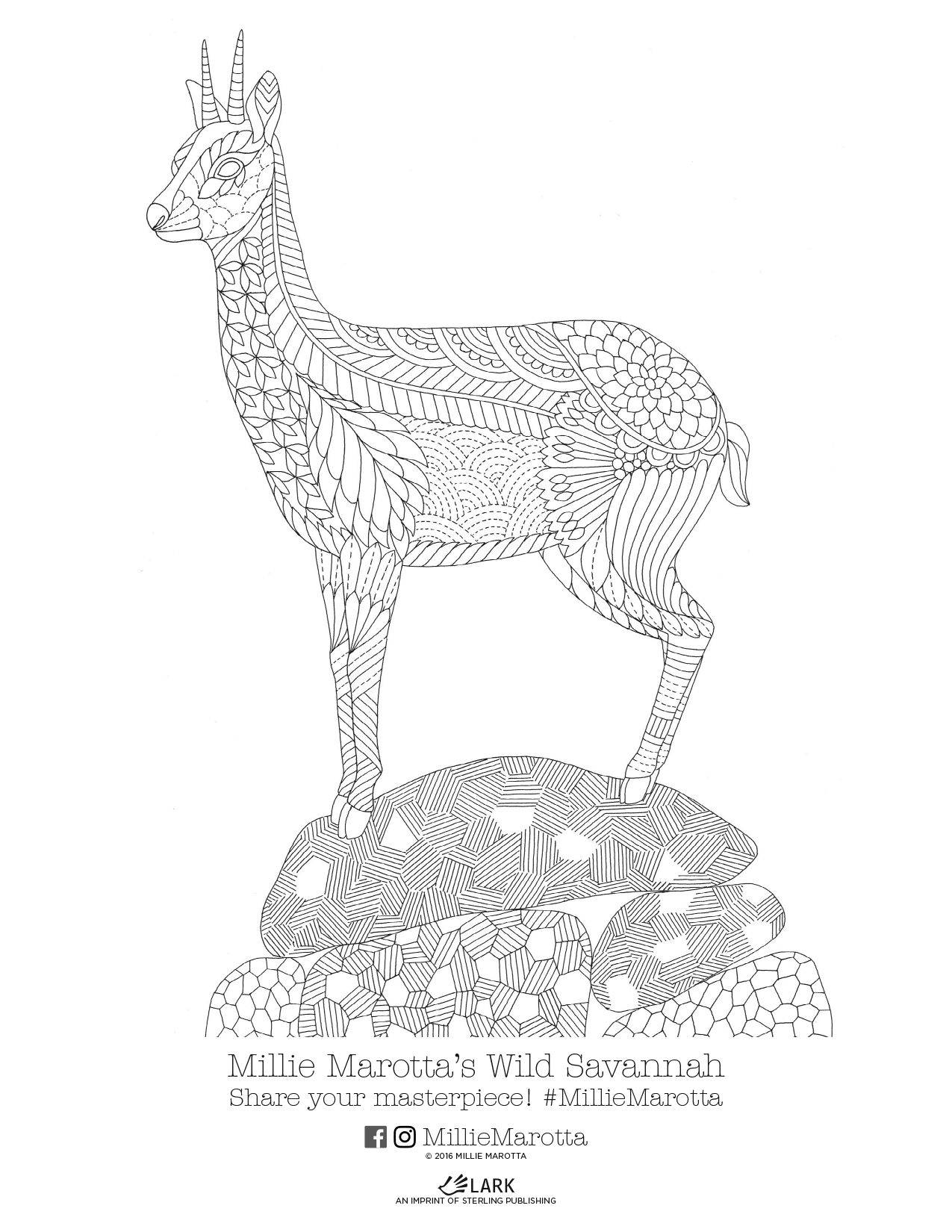 Wild Savannah Coloring Book Printables