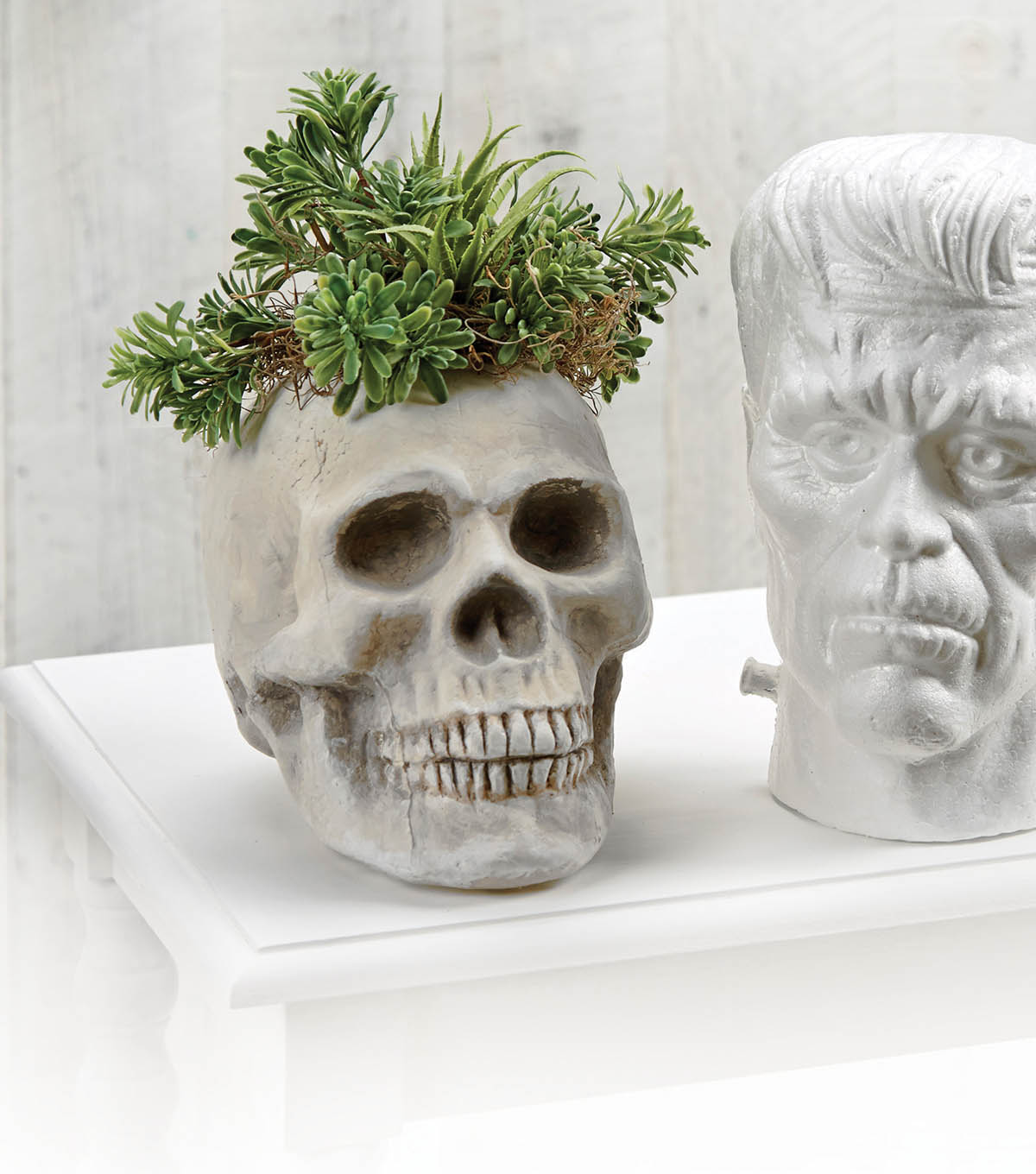Large Air Planter Halloween Halloween Planter Succulent Planter Gothic Decor Human Skull Large Skull Planter Skull Gift