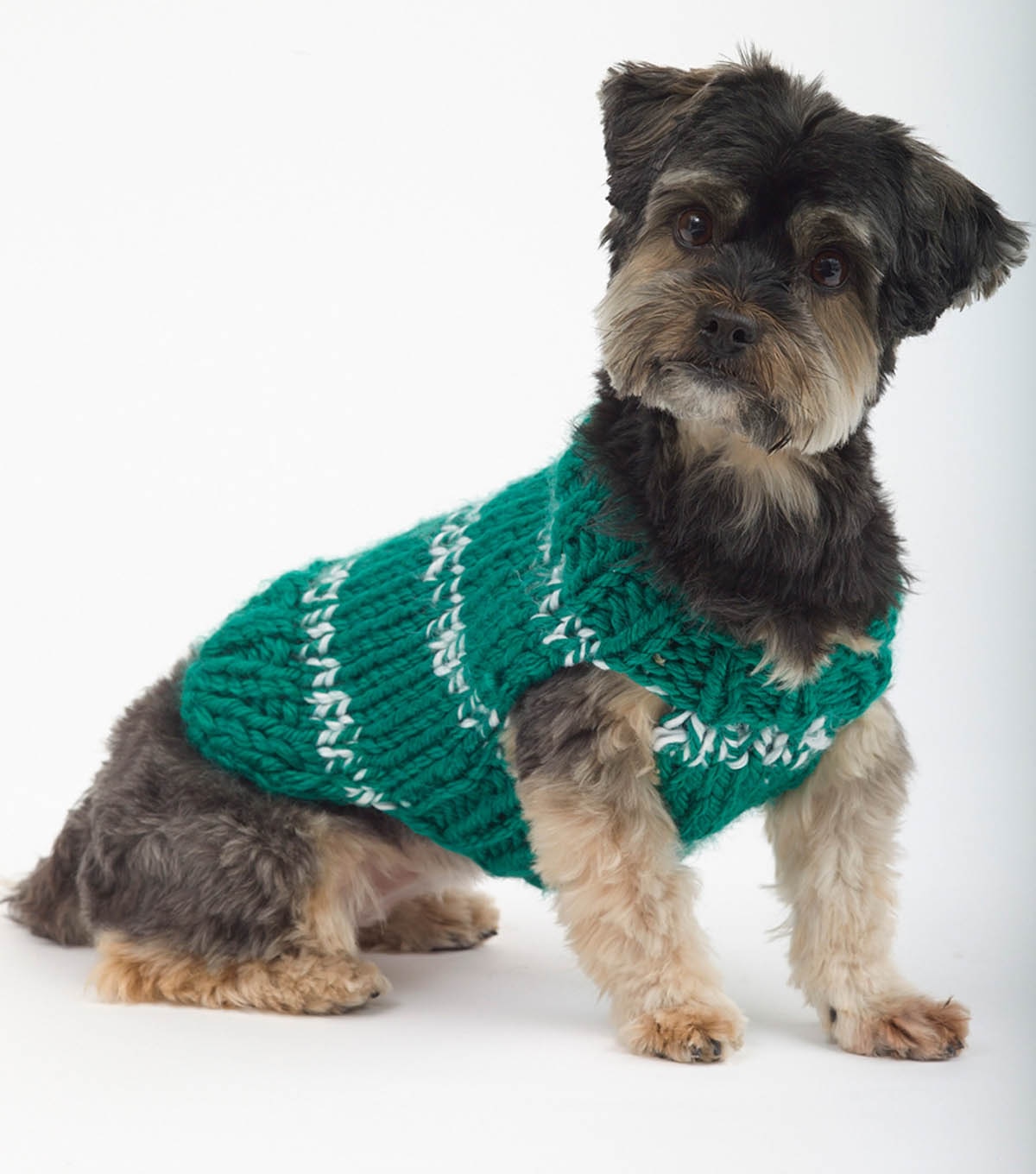 How to Knit A Sports Nut Dog Sweater | JOANN